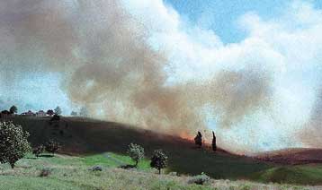 Ενισχύσεις καταφθάνουν στη δυτική όχθη των ΗΠΑ – 70 πυρκαγιές μαίνονται ανεξέλεγκτες