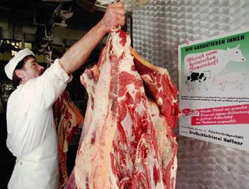 Nέα απαγόρευση στις εισαγωγές του βρετανικού βοδινού ζητούν δύο γερμανικά κρατίδια