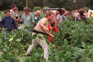 Οχι στα μεταλλαγμένα λένε Γαλλία και Ιταλία