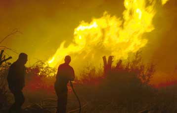 Σε εξέλιξη πυρκαγιά στα Ψαχνά Ευβοίας – Κατασβέστηκε η φωτιά στη Δράμα