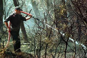 Κατασβέστηκε η πυρκαγιά στην Πεντέλη
