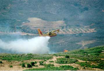Συνεχίζει το καταστροφικό της έργο η πυρκαγιά στα Παραδείσια Μεγαλόπολης