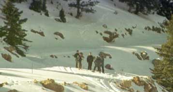 Δίωξη για απάτη στην αγορά δάσους