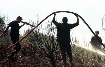 Υπό έλεγχο η πυρκαγιά στους Αγίους Θεοδώρους