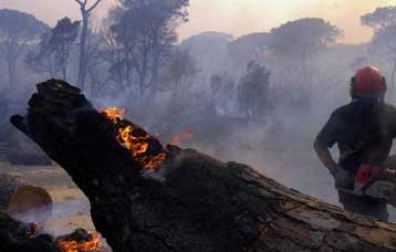 Νέες φωτιές ξέσπασαν στην Ιταλία – Εκτός ελέγχου μεγάλη πυρκαγιά στην Ισπανία