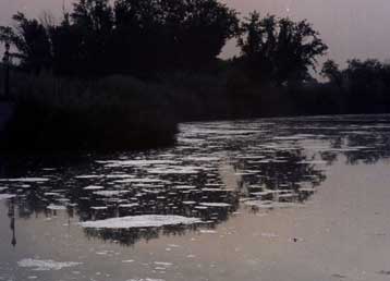 Ανεπανόρθωτη οικολογική καταστροφή στην Ισπανία από διαρροή καυσίμων στον ποταμό Τάγο