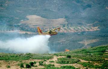 Αναζωπυρώθηκε η φωτιά στην Πίνδο