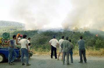 Ανακοινώθηκαν τα μέτρα για τους πυροπαθείς στη Σάμο