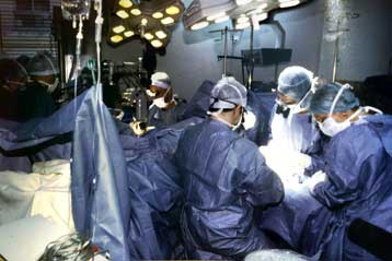 Σημαντικό ιατρικό βήμα για τη μεταμόσχευση ζωικών οργάνων στον άνθρωπο