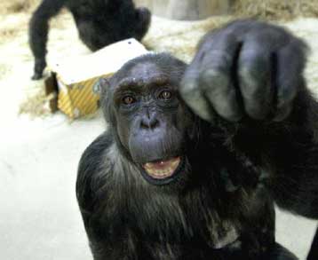 Πολλά είδη στη φύση απειλούνται με εξαφάνιση, σύμφωνα με νέα έρευνα