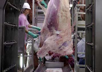 Θα κλείνουν όσα σφαγεία δεν τηρούν τους κανόνες υγιεινής