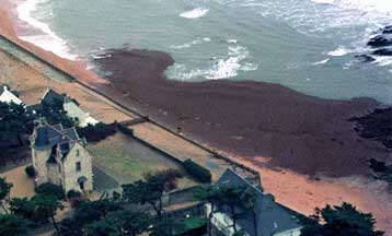 Την ασφάλεια των θαλάσσιων μεταφορών προτάσσει η Ευρωπαϊκή Επιτροπή