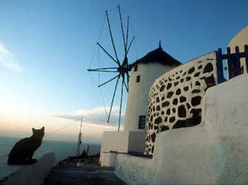 Διεθνής συνάντηση στη Θήρα για την πολιτιστική πολιτική