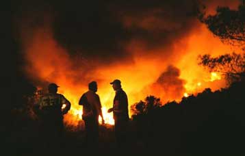 Απαγορεύτηκε το κυνήγι στις Σπέτσες για τρία χρόνια