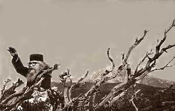 Η Ευρώπη «εκτίθεται» στην Κυανή Ακτή