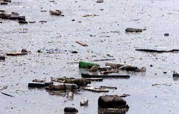 Πανευρωπαϊκό Οικολογικό Δίκτυο από το Συμβούλιο της Ευρώπης