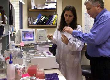 Το DNA των ποντικιών θα βοηθήσει στην κατανόηση του ανθρώπινου DNA