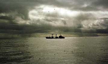 Το Μέγας Πέτρος έπληξε το Kursk, υποστηρίζει και Ρώσος κοινοβουλευτικός