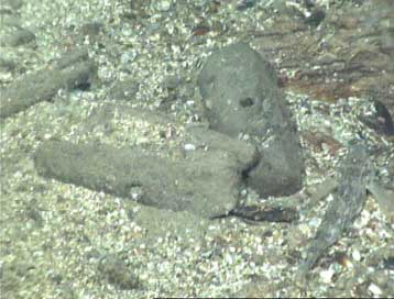 Μύθος ή πραγματικότητα – Μέρος Α: Οικισμό στη Μαύρη Θάλασσα ανακαλύπτει η National Geographic