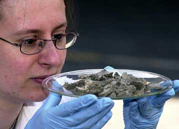 Τάφος γυναίκας μονομάχου βρέθηκε στο Λονδίνο