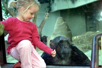 Επιστήμονες αναζητούν την προέλευση του ιού του AIDS