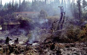 Σπίτια απειλεί μεγάλη φωτιά στην Αρτα