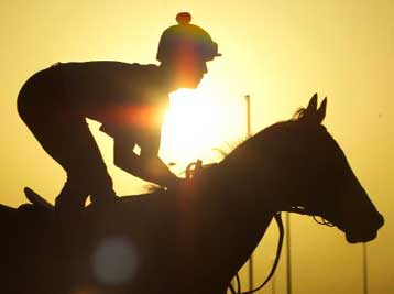 Ντοπέ Καναδός ιππέας – Σκοτώθηκε Νιγηριανός, μέλος της Ολυμπιακής Επιτροπής