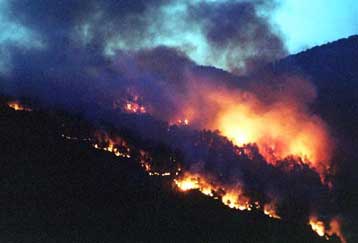 Σε εξέλιξη φωτιά στο Μαντούδι της Εύβοιας