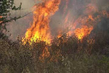Μαίνεται η πυρκαγιά στις Καρυές Λακωνίας