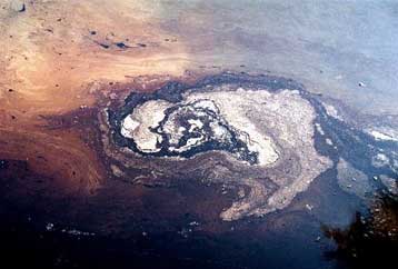 Αποζημίωση έξι δισ. δρχ. για τη ρύπανση στον Ευβοϊκό ζητούν τοπικοί φορείς