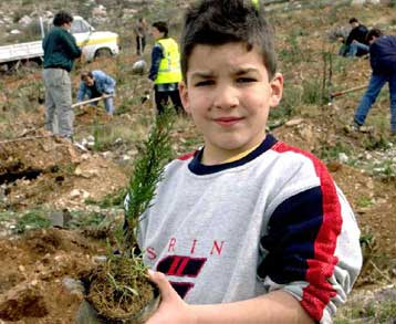 Αναδασωτέες κηρύσσονται οι εκτάσεις που κάηκαν στην Αττική
