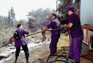 Υπό έλεγχο οι πυρκαγιές σε Ρόδο, Εύβοια και Αλιβέρι