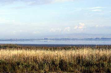 Δεκαοκτώ βιομηχανίες και βιοτεχνίες καταδικάζονται για τη ρύπανση της λίμνης Κορώνειας στο Λαγκαδά