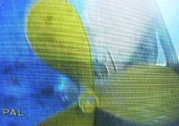 Αρχισαν και πάλι οι έρευνες στο Σάμινα