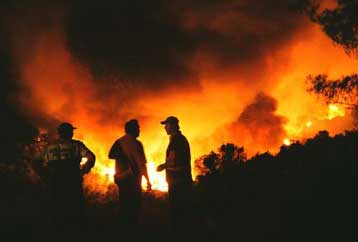 Αναδασωτέες οι δασικές εκτάσεις στις Σπέτσες που καταστράφηκαν από τις πυρκαγιές