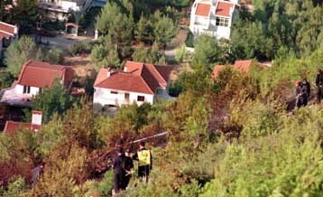 Αντιδρούν οι οικολόγοι στην αναθεώρηση άρθρου του Συντάγματος που αφορά στη δασοπροστασία