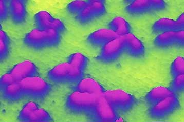 Νέα μέθοδος επιτρέπει τον πλήρη χρωμοσωμικό έλεγχο των εμβρύων