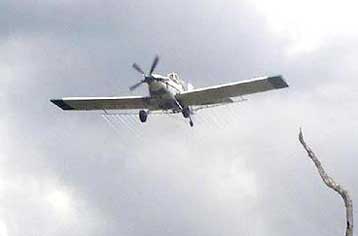 Εντεκα νεκροί από σύγκρουση δύο τουριστικών αεροπλάνων στην Αργεντινή