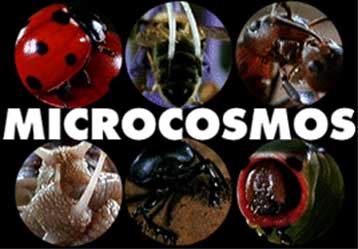 Στο ρυθμό του 2ου Διεθνούς Φεστιβάλ Ντοκιμαντέρ βρίσκεται η Καλαμάτα