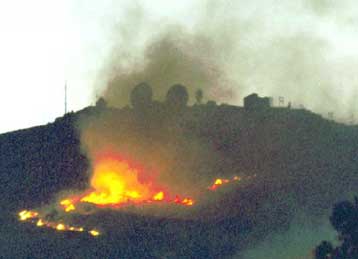 Σε αστική ζώνη έχει μετατραπεί το δάσος της Πεντέλης, σύμφωνα με έρευνα του Πανεπιστημίου Αθηνών
