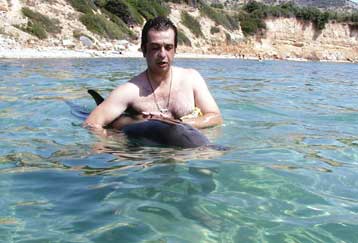 Κινδυνεύουν τα δελφίνια στην Ελλάδα, αποκαλύπτει η WWF Ελλάς