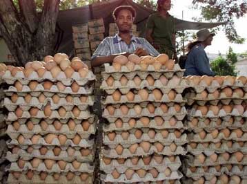 Η κατανάλωση αβγών δεν επηρεάζει τα επίπεδα της χοληστερόλης στα υγιή άτομα