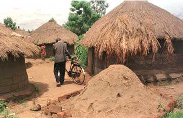 Βρέθηκε η φορέας του ιού Έμπολα που μόλυνε την Ουγκάντα