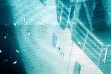 Νέες αιτήσεις ασφαλιστικών μέτρων κατά της MFD για το Σάμινα <I>Ζητούν 1,9 δισ. δραχμές</I>