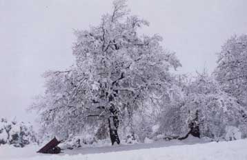Κύμα ψύχους το επόμενο διήμερο σε όλη τη χώρα