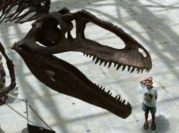 Τα μουσεία η πιο αξιόπιστη πηγή πληροφοριών, υποστηρίζουν οι Αμερικανοί