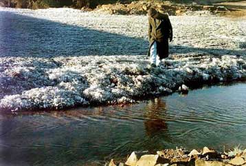 Ανακαλύφθηκε μικροοργανισμός που δεν εντάσσεται σε καμία γνωστή κατηγορία