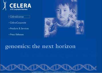 H Celera ολοκληρώνει τη χαρτογράφηση του DNA του ποντικιού