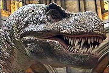 Ανακαλύφθηκαν πέντε νέοι δεινόσαυροι Τ – Rex στις ΗΠΑ