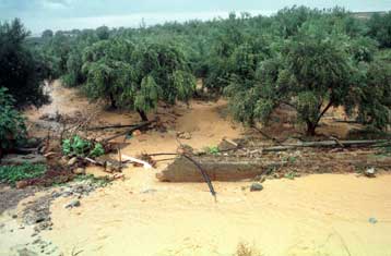 Σε κατάσταση έκτακτης ανάγκης η Σαμοθράκη εξαιτίας καταρρακτωδών βροχοπτώσεων